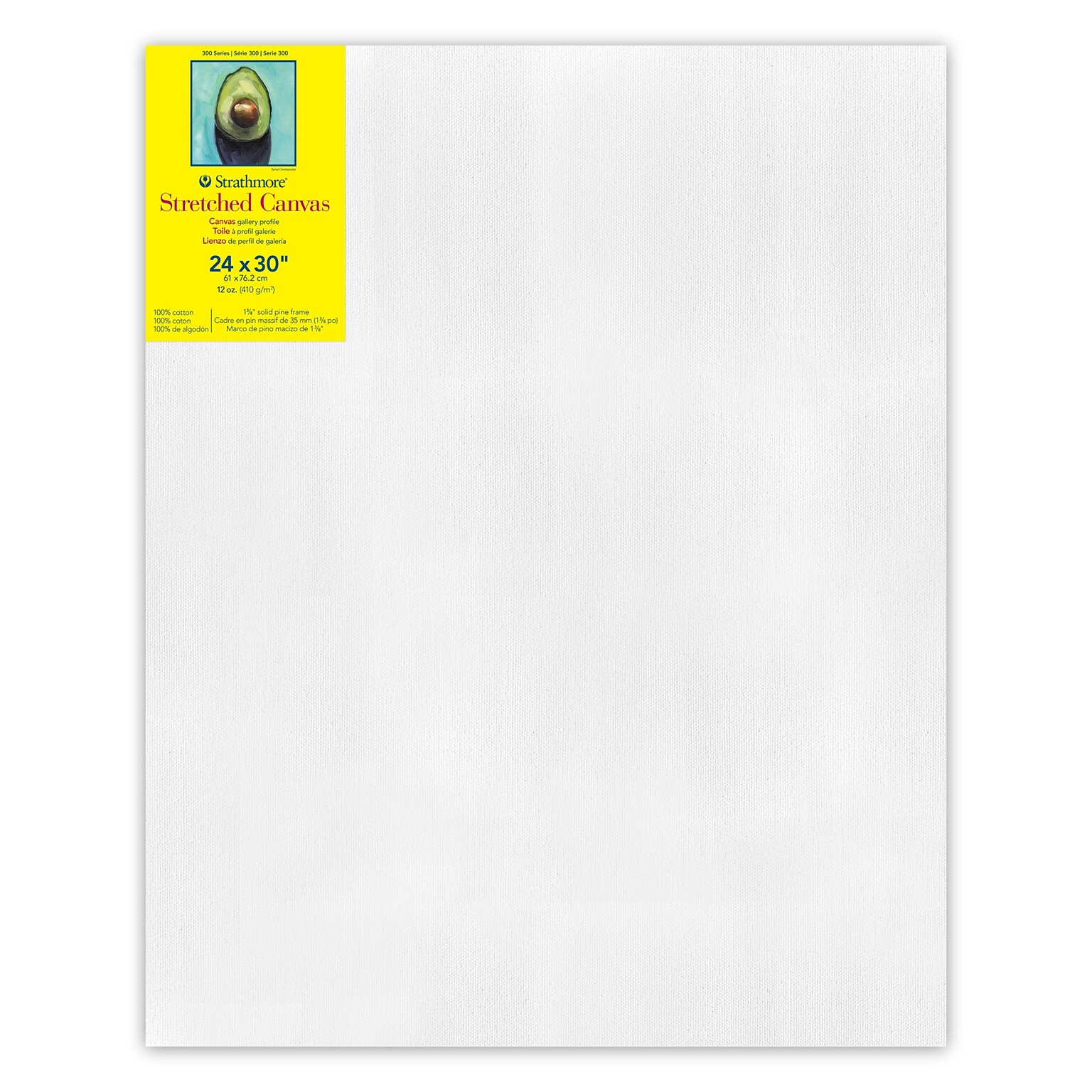 Strathmore 300 Series Primed Gallery Stretched Canvas, 24 x 30 (STT31423)
