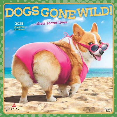 2025 BrownTrout Avanti Dogs Gone Wild 12 x 12 Monthly Wall Calendar (9781975479671)