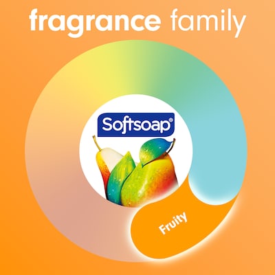Softsoap Antibacterial Ready To Use Liquid Soap, Sparkling Pear Scent (US07326A)