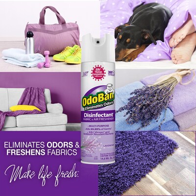 OdoBan Ready to Use Disinfectant Air Freshener & Deodorizer Spray, 14.6 oz., Lavender Scent (910101-14A)