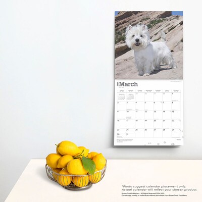 2025 BrownTrout West Highland White Terriers 12" x 12" Monthly Wall Calendar (9781975477974)