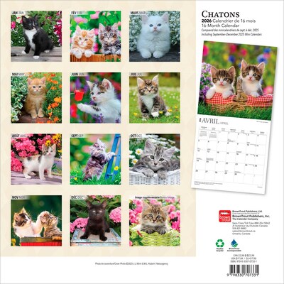 2026 BrownTrout Chatons 12 x 12 Monthly Wall Calendar (9798330707331)