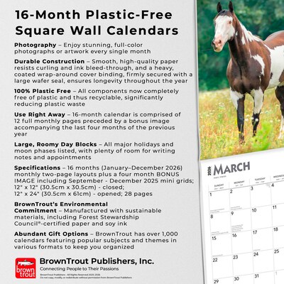 2026 BrownTrout Quarter Horses 12" x 12" Monthly Wall Calendar (9798330705290)
