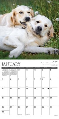 2027 Willow Creek Golden Rules 12" x 12" Monthly Wall Calendar (60445)