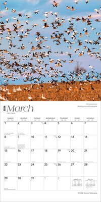2026 BrownTrout Nebraska Wild & Scenic 12" x 12" Monthly Wall Calendar (9798330704811)
