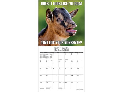 2025 Willow Creek You Goat This 12" x 12" Monthly Wall Calendar (45572)