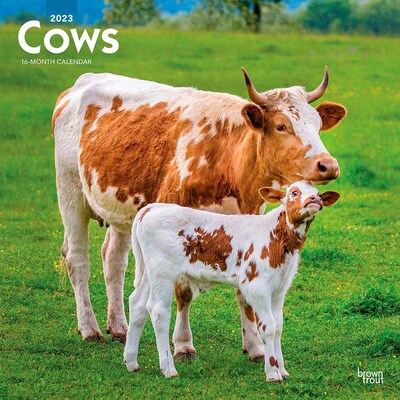 2023 BrownTrout Cows 12 x 12 Monthly Wall Calendar (9781975451554)