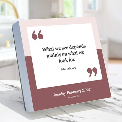 2027 TF Publishing 5.25 x 5.25 Daily Day-to-Day Calendar, Multicolored (27-3012)