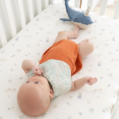 Cane Baby Cove Fitted Crib Sheet, Sea Life (BC-160CFS-1)