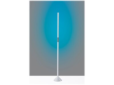 Simplee Adesso Cole 58" Matte Floor Lamp with Tubular Shade (SL4920-02)