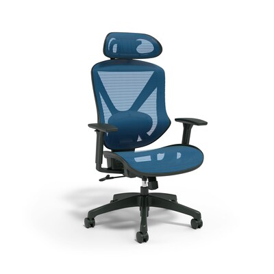 Staples® Dexley Ergonomic Mesh Swivel Task Chair, Blue (UN59375)