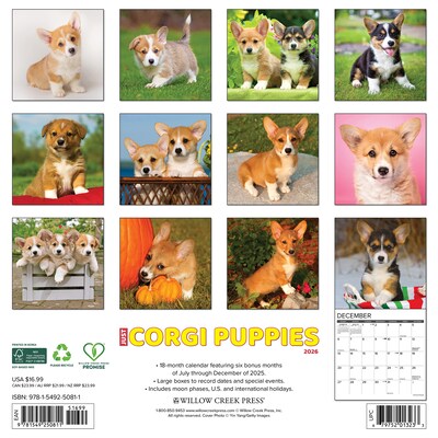 2026 Willow Creek Corgi Puppies 12 x 12 Monthly Wall Calendar (50811)