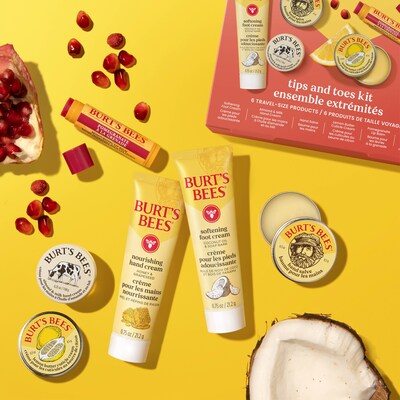 Burt's Bees Tips & Toes Kit, 6 Pieces (00912)