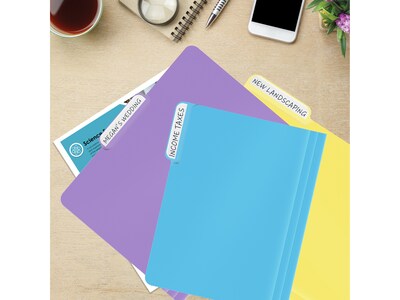 Better Office Heavy-Duty File Folders, 1/3-Cut Tab, Letter Size, Polypropylene, Pastel Rainbow, 12/Pack (89023-12PK)