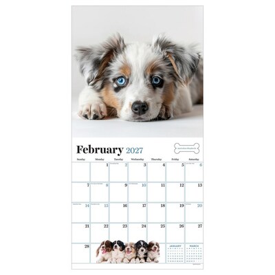 2027 TF Publishing Puppies 11" x 11" Monthly Wall Calendar, Multicolored (27-1025)