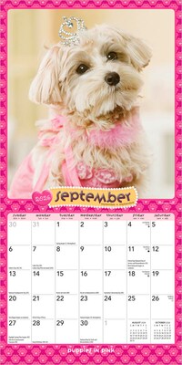 2026 BrownTrout Puppies in Pink 7" x 7" Monthly Wall Calendar (9798330707942)