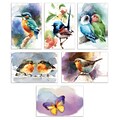 Better Office Cards with Envelopes, 4 x 6, Birds & Butterflies, 50/Pack (64564-50PK)