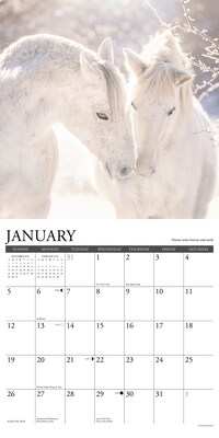 2025 Willow Creek Happiness is a Horse 12" x 12" Monthly Wall Calendar (43271)