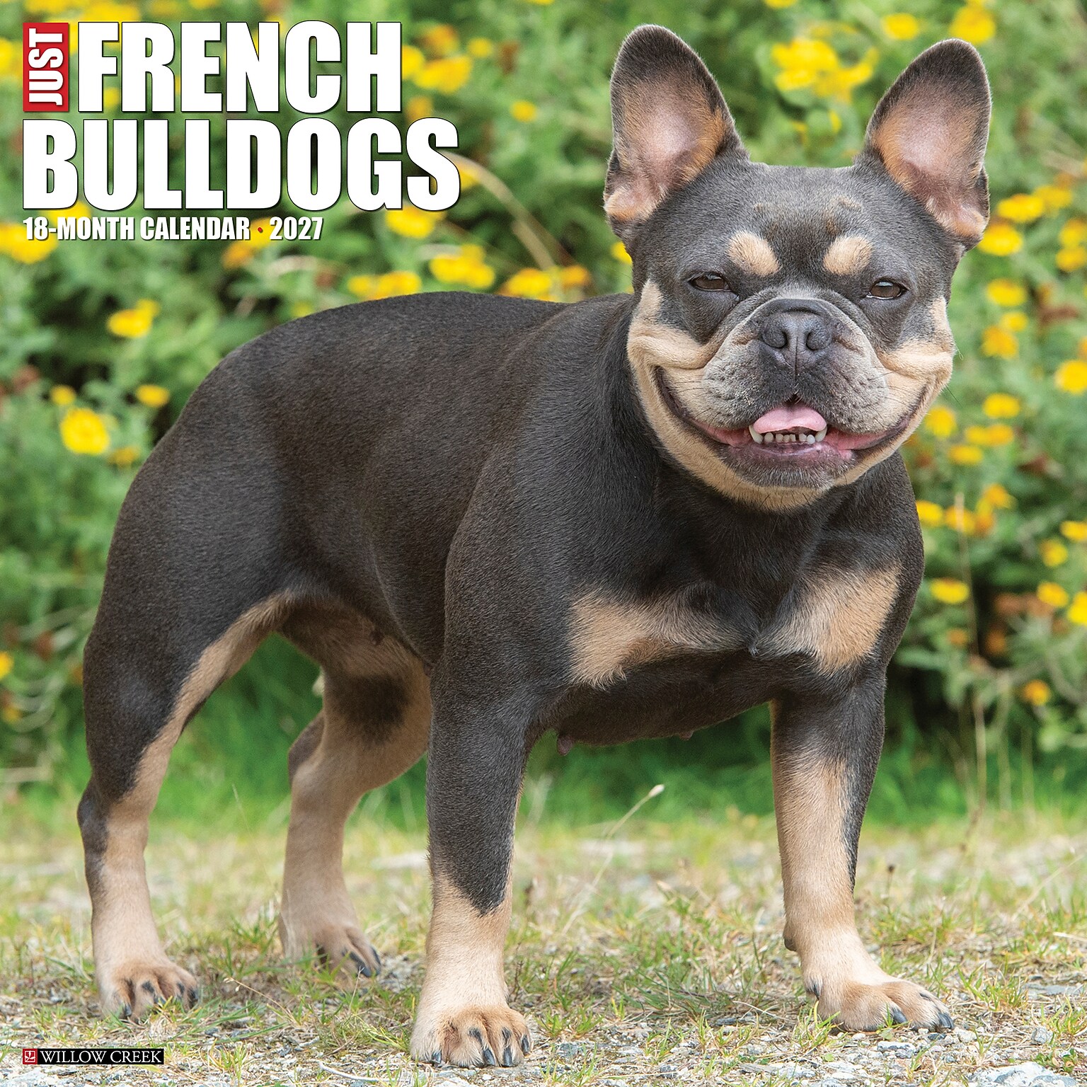 2027 Willow Creek French Bulldogs 12 x 12 Monthly Wall Calendar, Assorted Colors (60308)