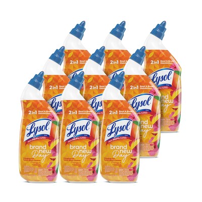 Lysol Brand New Day Disinfecting Toilet Bowl Cleaner, Mango & Hibiscus Scent, 24 oz. (19200-98390)