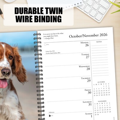 2026 Willow Creek What Dogs Teach Us 6.5" x 8.5" Daily & Monthly Personal Organizer (54673)