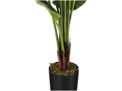 Monarch Specialties Inc. Strelitzia in a Pot (I 9545)