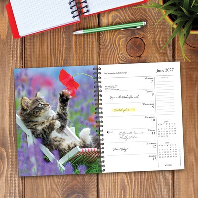 2027 Willow Creek What Cats Teach Us 6.5" x 8.5" Weekly & Monthly Desk Calendar (64443)