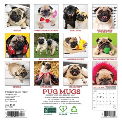 2027 Willow Creek Pug Mugs 7 x 7 Monthly Wall Calendar, Assorted Colors (64160)
