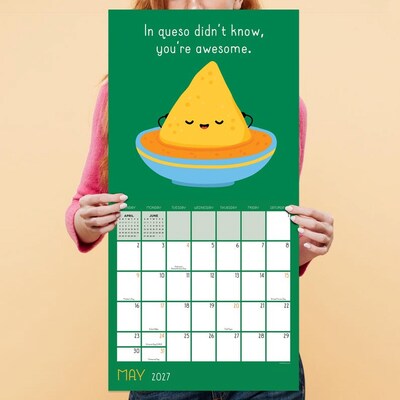 2027 TF Publishing Puns of Fun 12" x 12" Monthly Wall Calendar, Multicolored (27-1117)