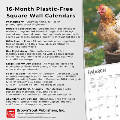 2025 BrownTrout Chickens 12" x 24" Monthly Square Wall Calendar, (9781975476830)