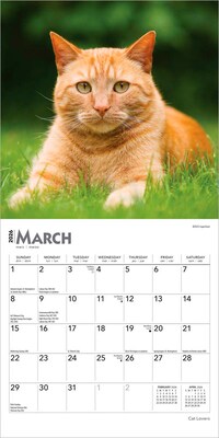 2026 BrownTrout Cat Lovers 7" x 7" Monthly Wall Calendar (9798330702770)