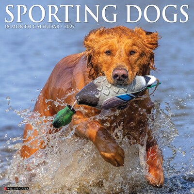 2027 Willow Creek Sporting Dogs 2 x 12 Monthly Wall Calendar, Assorted Colors (62463)