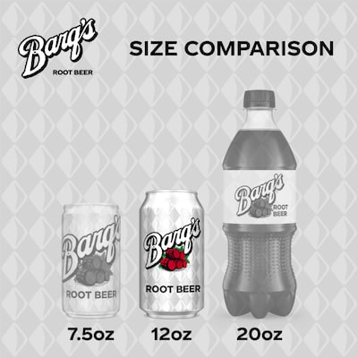 Barqs Root Beer, 12 oz., 24/Carton (49000030129)