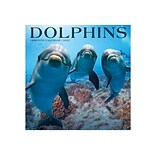 2023 Willow Creek Dolphins 12 x 12 Monthly Wall Calendar (25789)