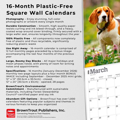 2026 BrownTrout Beagles 12" x 12" Monthly Wall Calendar (9798330702381)