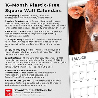 2026 BrownTrout Baby Moo Moos 12" x 12" Monthly Wall Calendar (9798330702282)