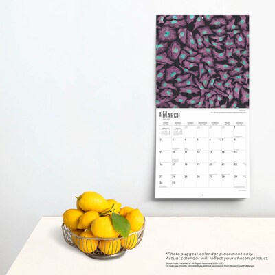 2025 BrownTrout Innerspace 12" x 12" Monthly Square Wall Calendar (9781975481438)