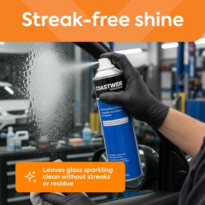 Coastwide Professional Foaming Glass Cleaner, Fresh & Clean Scent, 19 Oz., 6/Carton