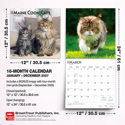 2027 BrownTrout Maine Coon Cats 12" x 12" Monthly Wall Calendar (9798330711819)