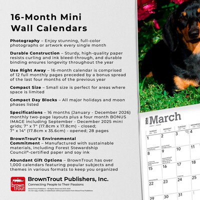 2026 BrownTrout Dachshunds 7" x 7" Monthly Wall Calendar (9798330703111)