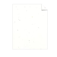 Astrobrights 65 lb. Cardstock Paper, 8.5 x 11, Stardust White, 250 Sheets/Pack (21408/22401)