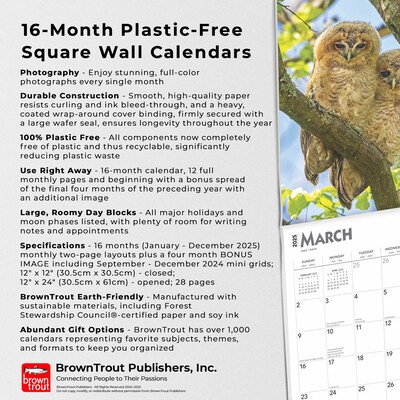 2025 BrownTrout Owls 12" x 12" Monthly Wall Calendar (9781975477509)