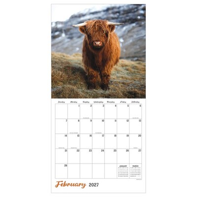 2027 TF Publishing Highland Cows 12" x 12" Monthly Wall Calendar, Multicolored (27-1061)