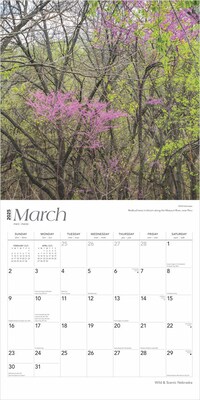 2025 BrownTrout Nebraska Wild & Scenic 12" x 12" Monthly Wall Calendar (9781975475352)