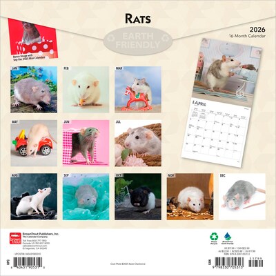 2026 BrownTrout Rats 12 x 12 Monthly Wall Calendar (9798330705313)