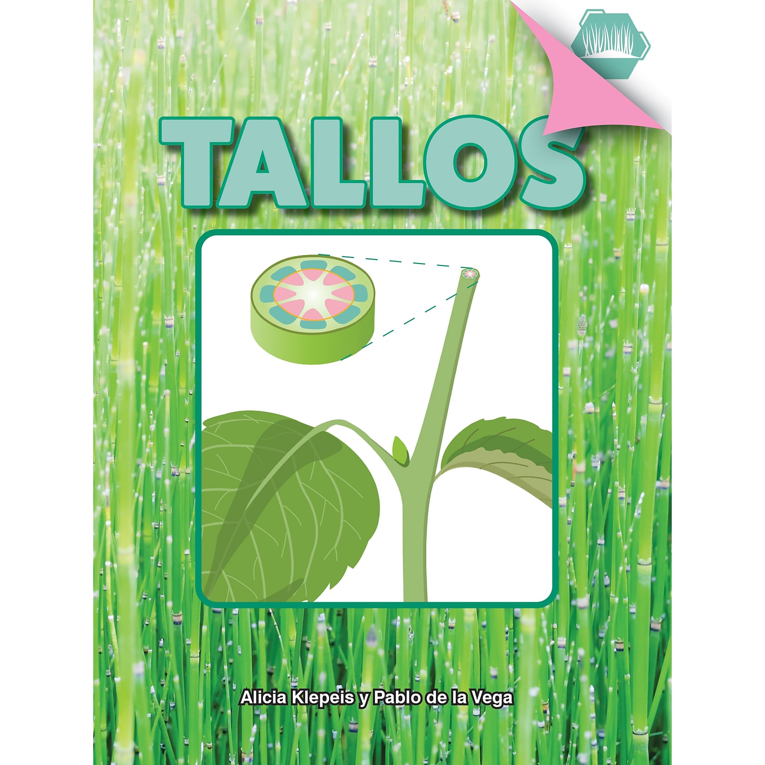 Carson-Dellosa Discovery Library Tallos Book, Hardcover (CD-9781731654496)