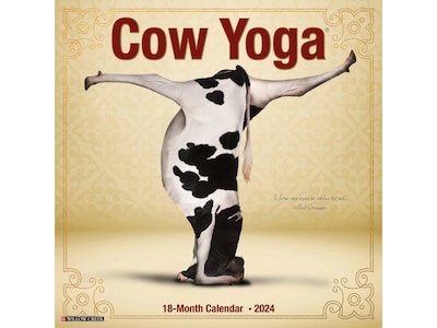 2024 Willow Creek Cow Yoga 12 x 12 Monthly Wall Calendar (33258)