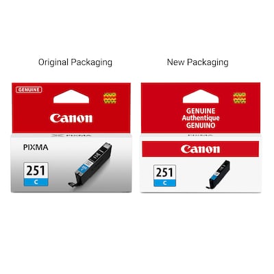 Canon 251 Cyan Standard Yield Ink Cartridge (6514B001)