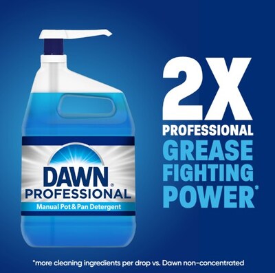 Dawn Professional Liquid Dish Soap, 1 gal., 2/Carton (12163)