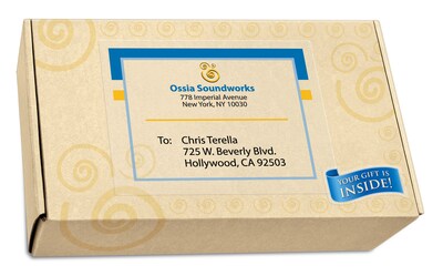 Avery Inkjet Full Sheet Labels, 8 1/2" x 11", Clear, 10 Labels/Pack (18665)